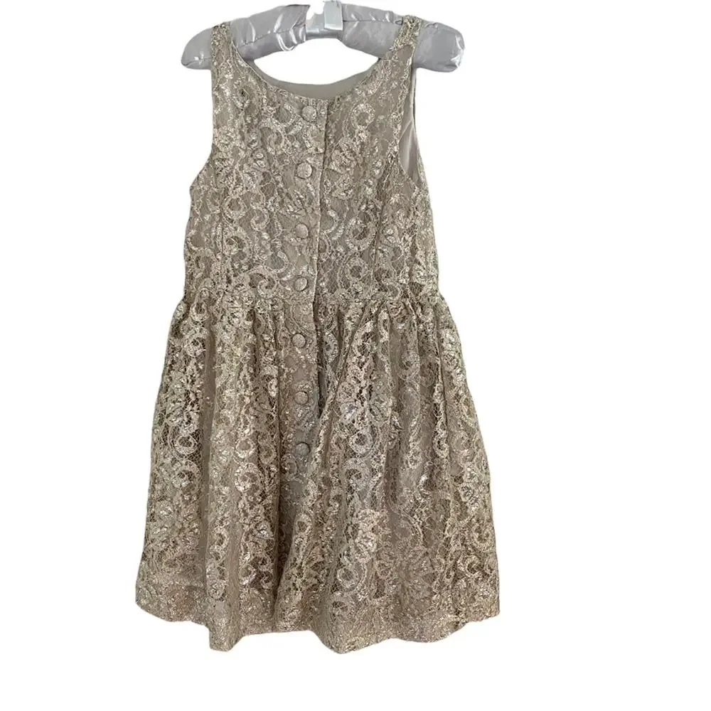 Polo Ralph Lauren Girls Dress Size 5 Lace metallic silver flower special formal